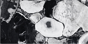 H2CM11L91823-1