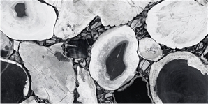 H2CM11L91823-11