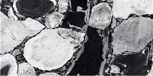 H2CM11L91823-2